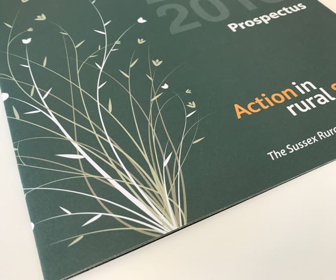 action in rural sussex brochure