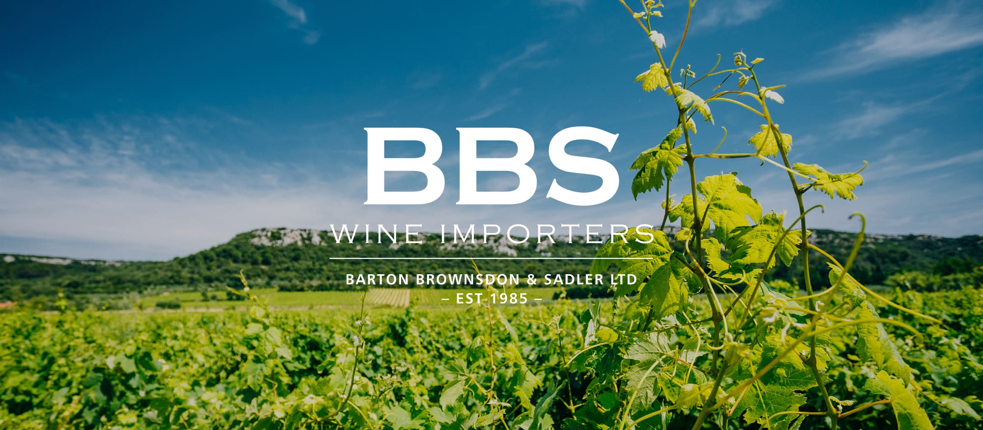 bbs logo