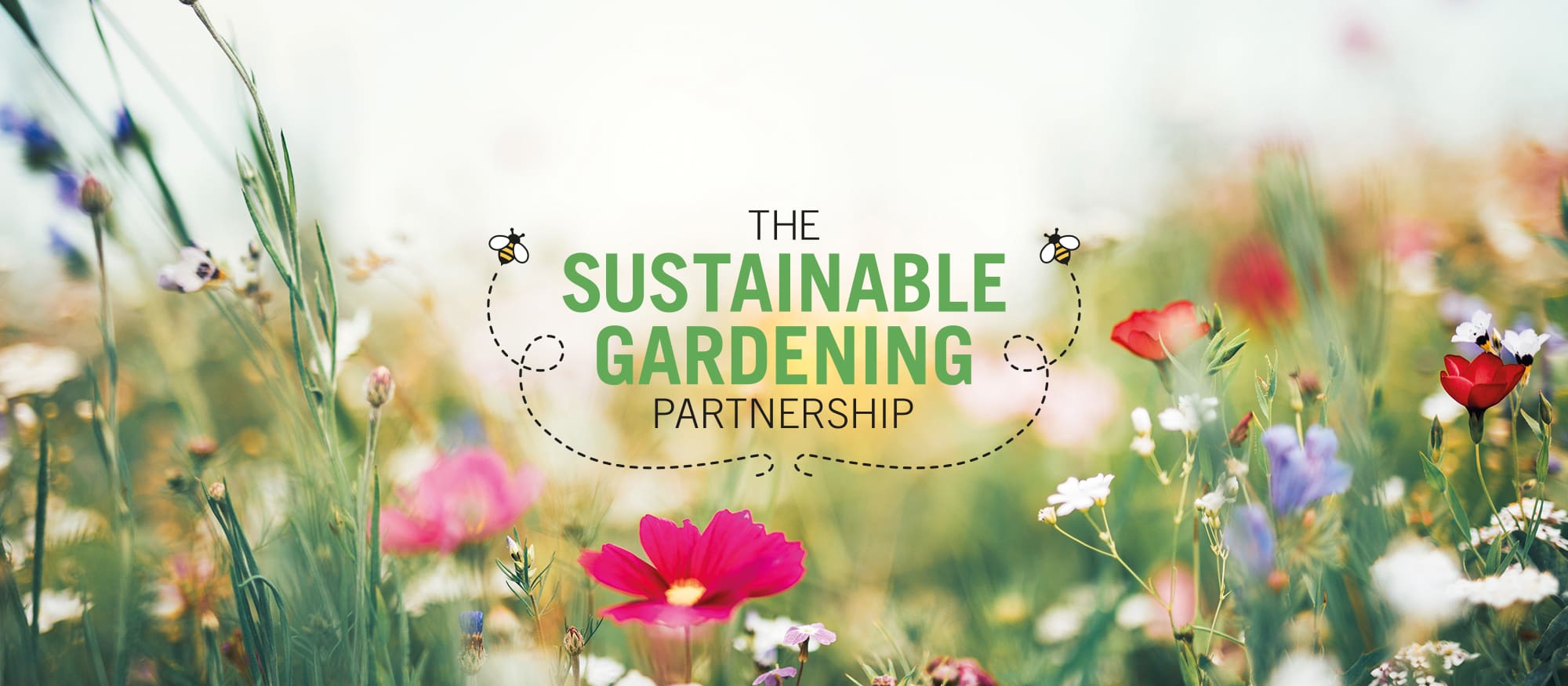 sustainable gardening partnership logo with wild flower background