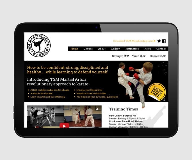 tsm martial arts website