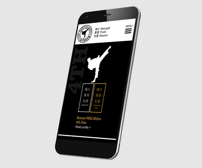 tsm martial arts website