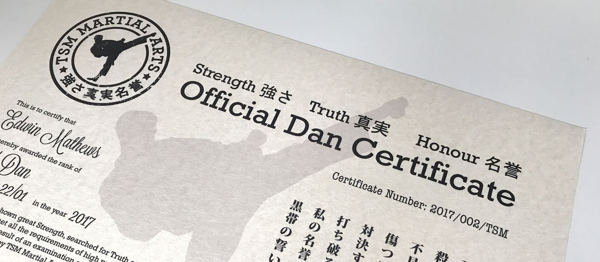 tsm martial arts certificate