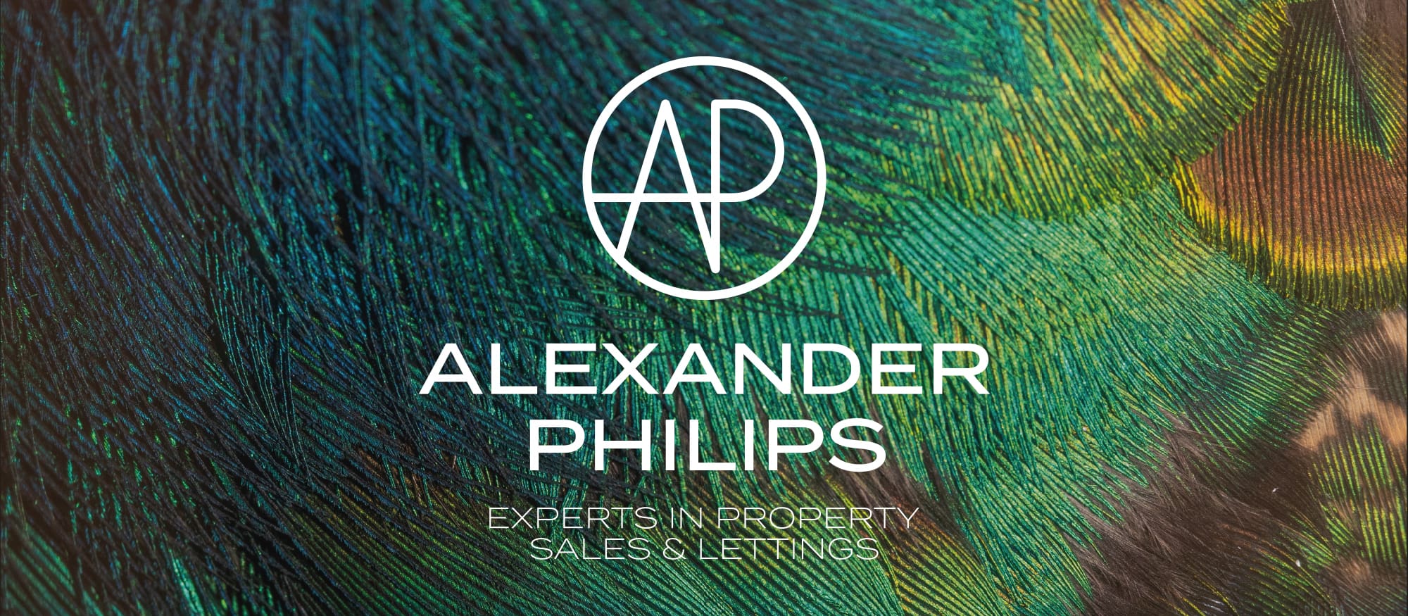 alexander philips logo design