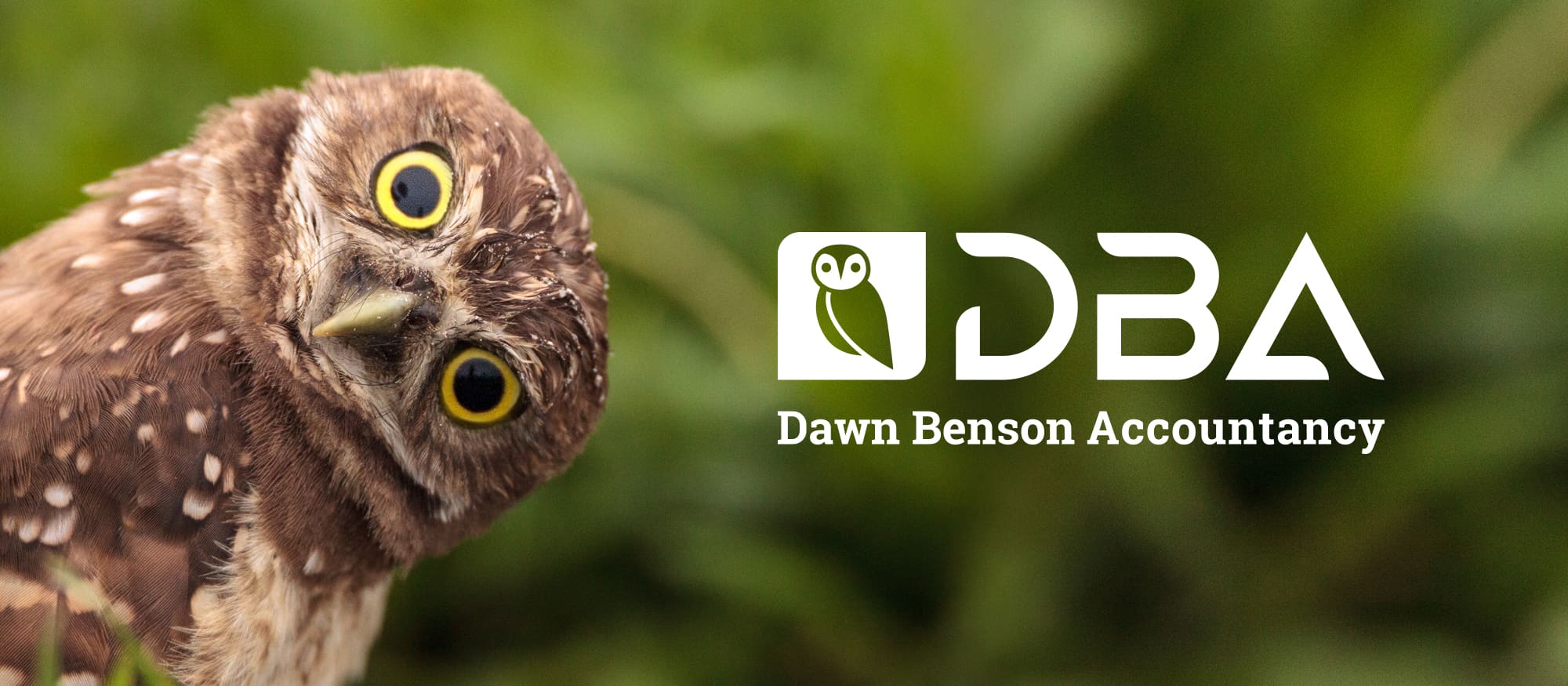 Dawn Benson accountants logo with owl