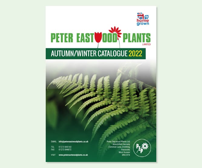 peter eastwood plants brochure design