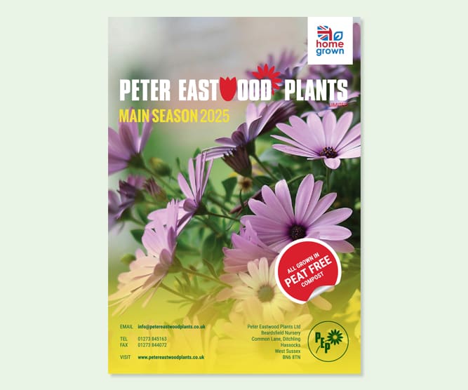 peter eastwood plants main season brochure design