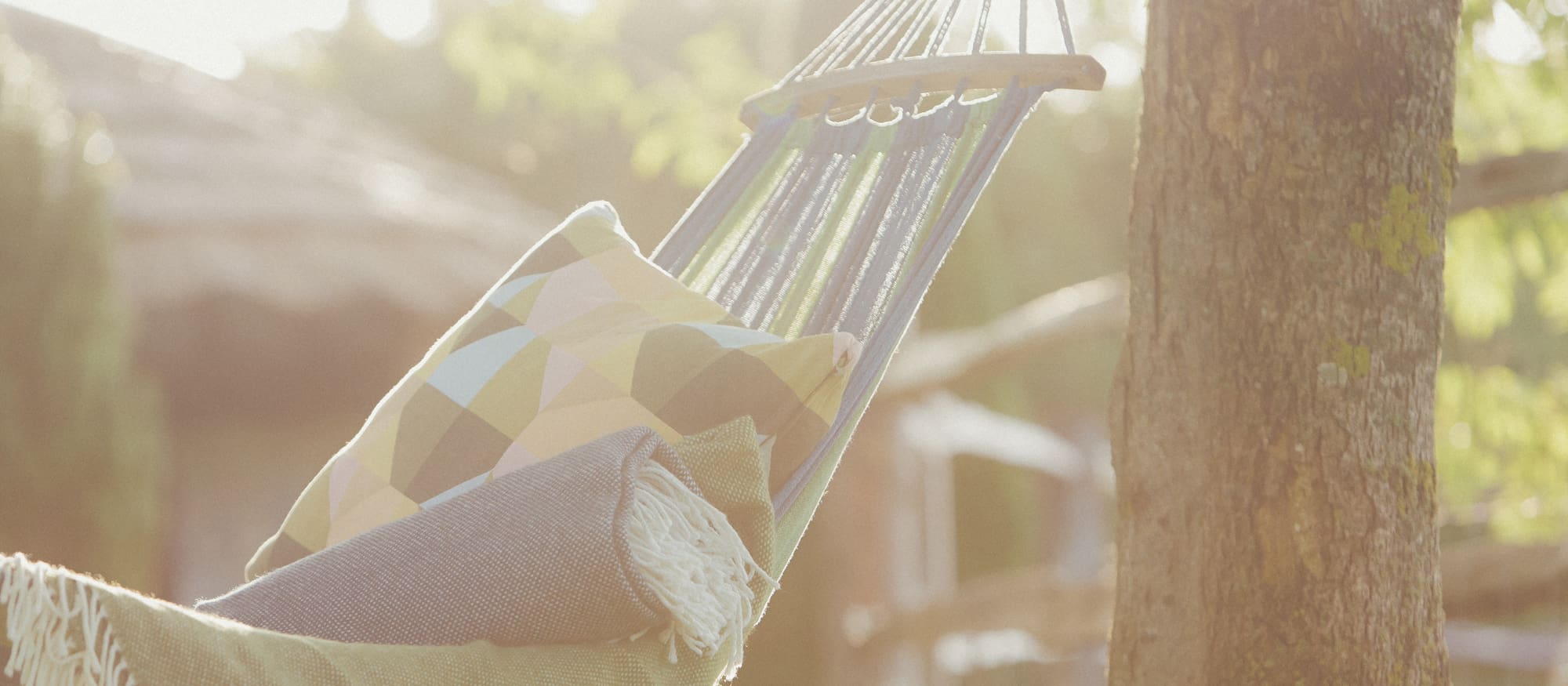 hammock photo at ridgeview